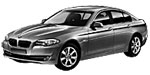 BMW F10 U3172 Fault Code